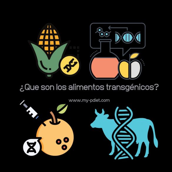 Que son los alimentos transgénicos My PDiet Nutrición