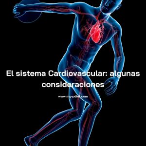 El sistema Cardiovascular: algunas consideraciones, nutricionista, nutricionista clínica