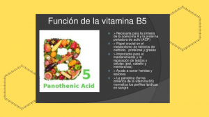 Vitamina B5. nutrición, nutricionista clinica.