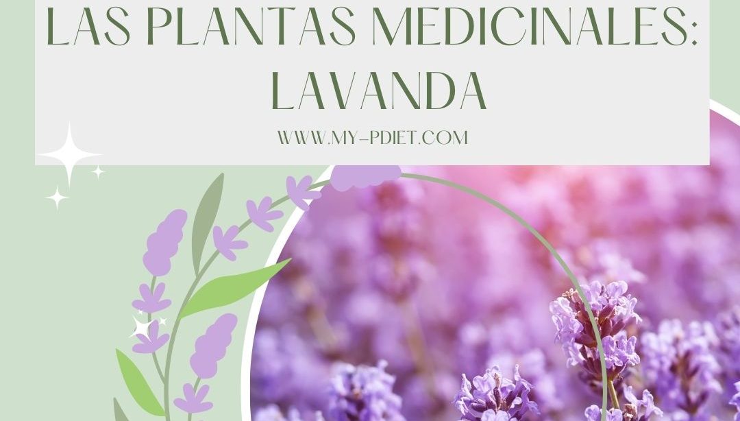 propiedades lavanda archivos  - Nutrición