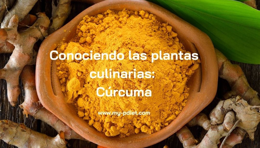 Conociendo las plantas culinarias: Cúrcuma, nutricionista, nutricionista clínica