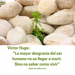 Frases motivadoras disfrutar la vida  - Nutrición