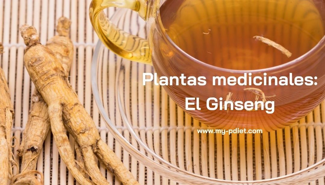 Plantas medicinales: El Ginseng, nutricionista, nutricionista holistica