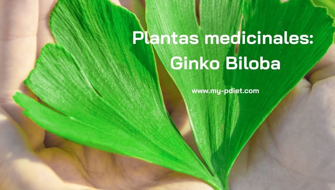 Conociendo plantas medicinales: Ginko Biloba, nutricionista, nutricionista clínica