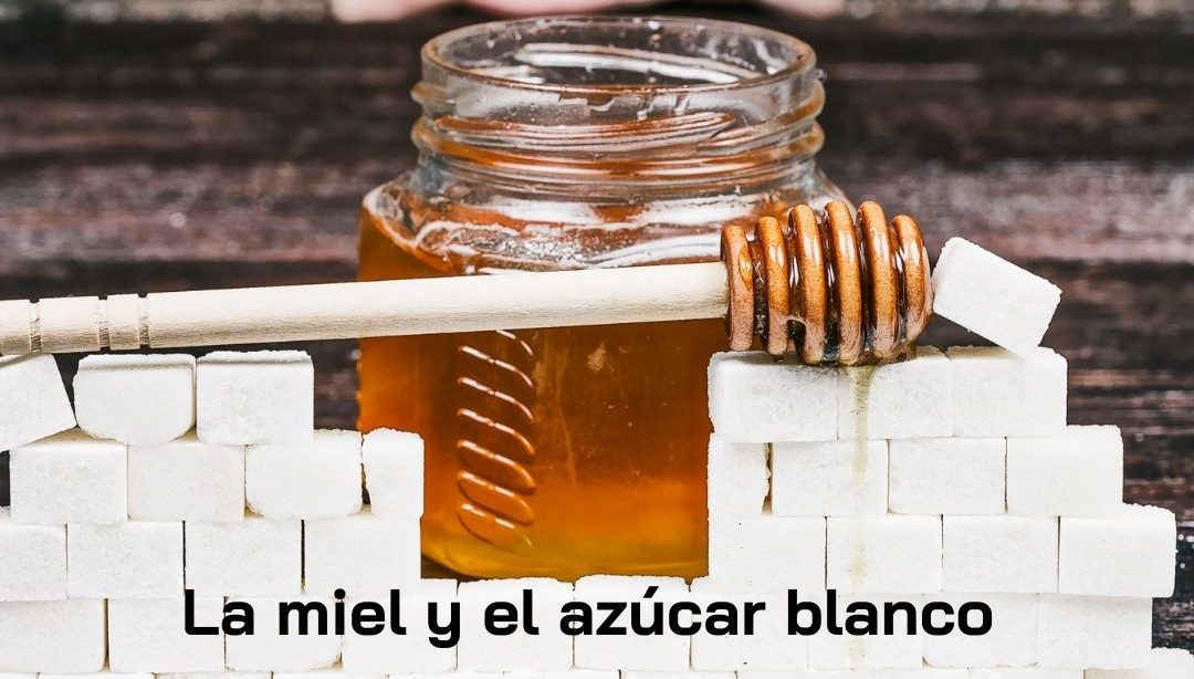 La miel y el azúcar blanco ¿quien es mas saludable?, nutricionista, nutricionista clínica