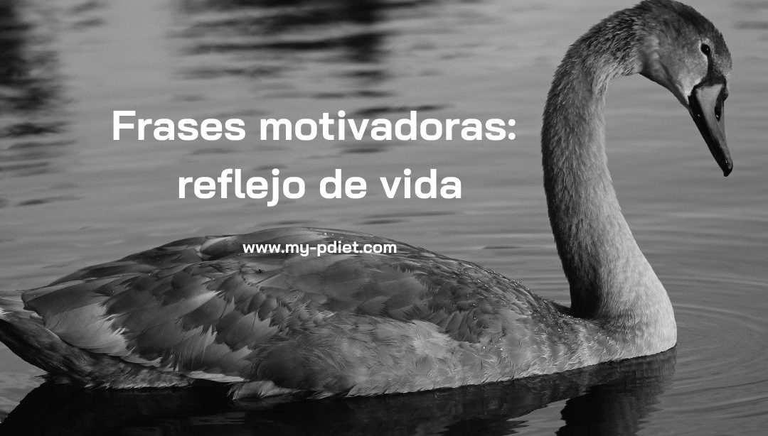 Frases motivadoras: reflejo de vida, nutricionista, nutricionista holistica