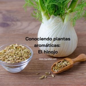 Conociendo plantas aromáticas: El hinojo, nutricionista, nutricionista clínica