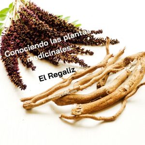 Conociendo las plantas medicinales: El Regaliz, nutricionista, nutricionista clínica