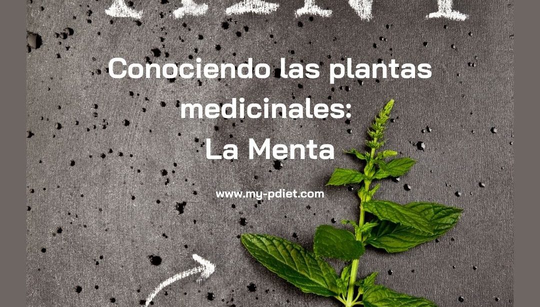 Conociendo las plantas medicinales: La Menta, nutricionista, nutricionista clínica