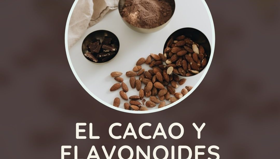 El cacao y flavonoides, nutrición, nutricionista clínica