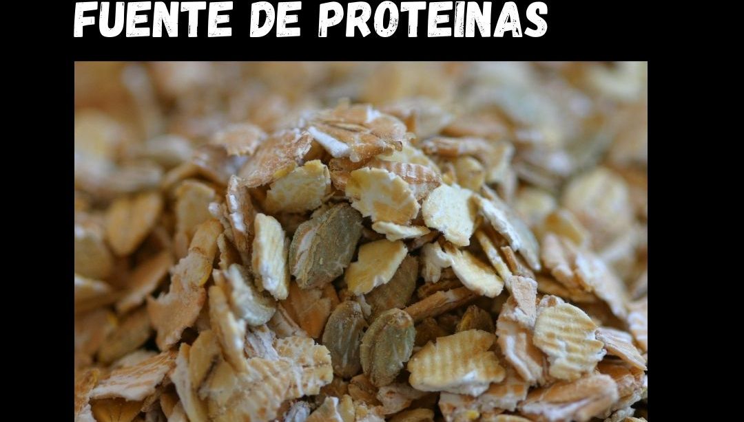 Los cereales como fuente de proteínas, nutricionista, nutricionista clínica