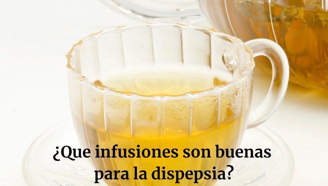 ¿Que infusiones son buenas para la dispepsia?, nutricionista, nutricionista clínica