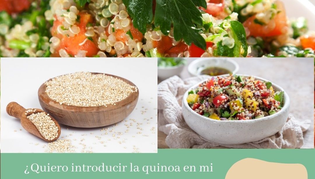 ¿Quiero introducir la quinoa en mi alimentación?, nutricionista, nutricionista clínica