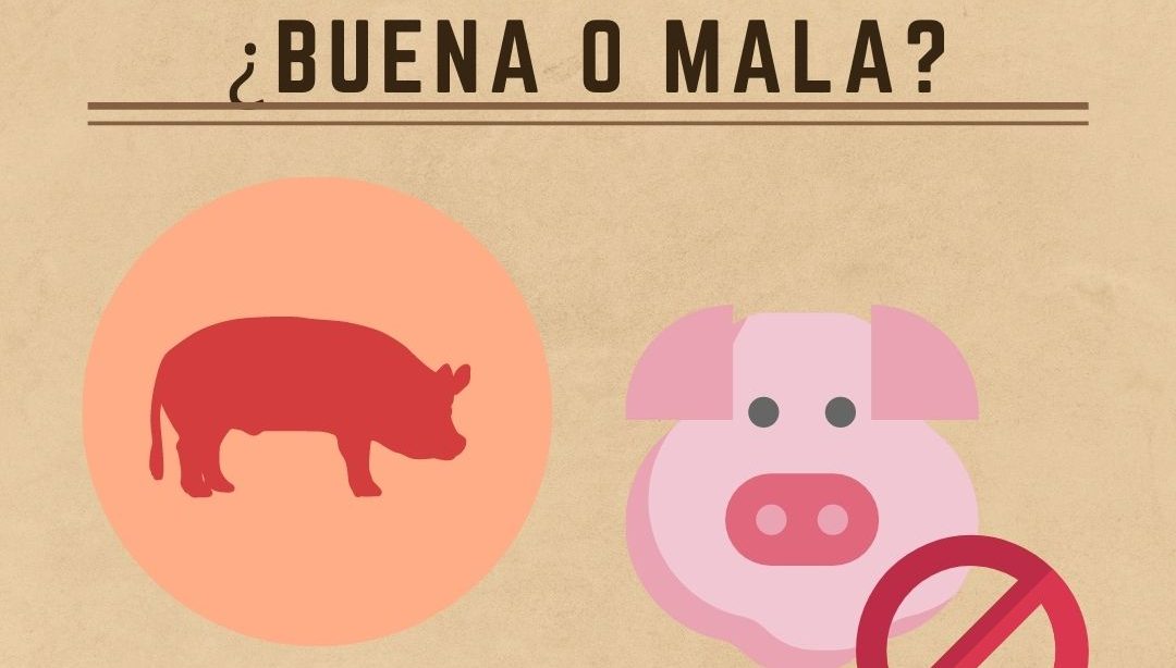 Carne de cerdo: ¿buena o mala?, nutricionista, nutricionista clínica