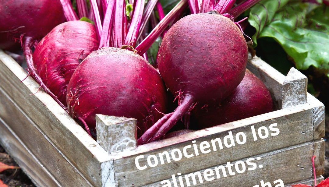 Conociendo los alimentos: la remolacha. nutricionista, nutricionista clínica