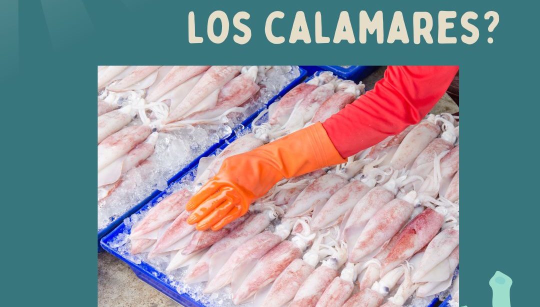 ¿Como se congelan los calamares?, nutricionista, nutricionista clínica