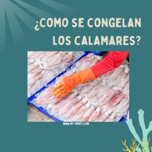 ¿Como se congelan los calamares?, nutricionista, nutricionista clínica