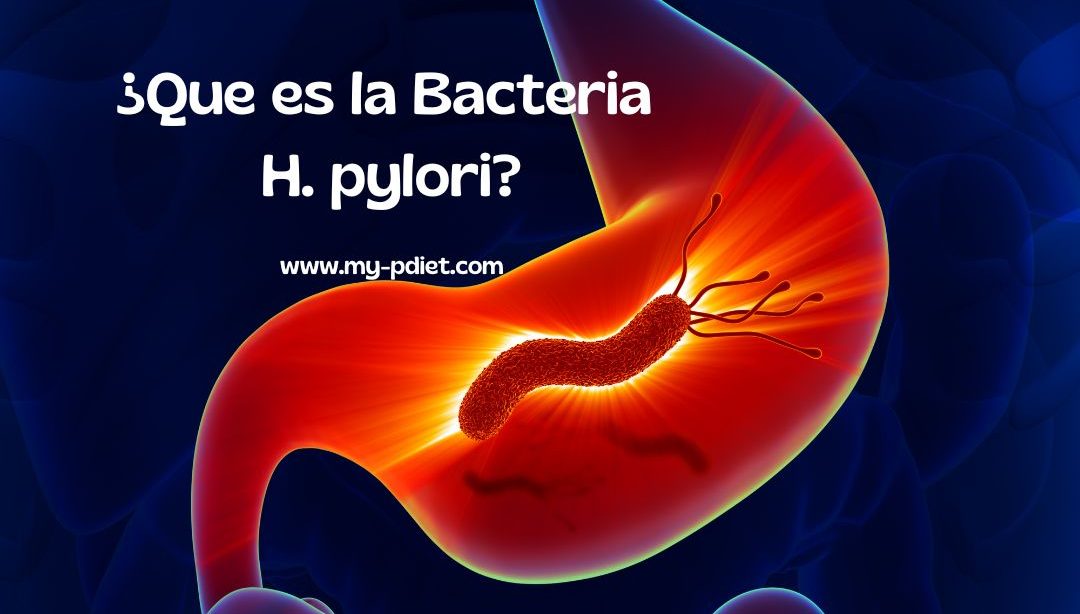 ¿Que es la Bacteria H. pylori?, nutricionista, nutricionista clínica