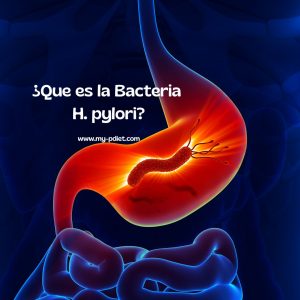 ¿Que es la Bacteria H. pylori?, nutricionista, nutricionista clínica