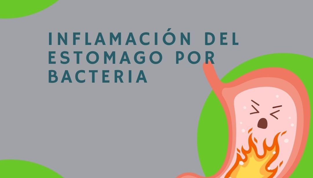 Inflamación del estomago por bacteria, nutricionista clínica, nutricionista