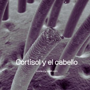 Cortisol y el cabello, nutricionista, nutricionista clínica