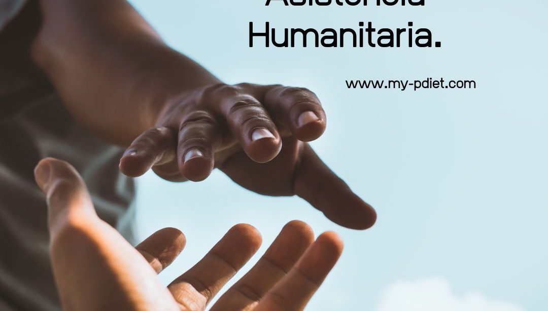 Día Mundial de la Asistencia Humanitaria., nutricionista, nutricionista holistica