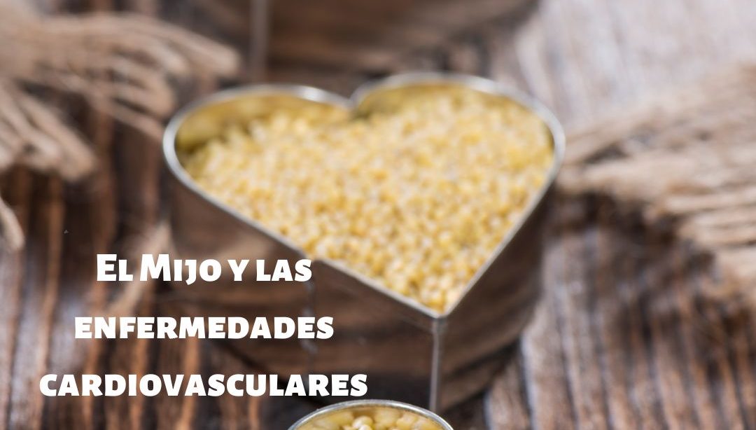 El Mijo y las enfermedades cardiovasculares, nutricionista, nutricionista clínica