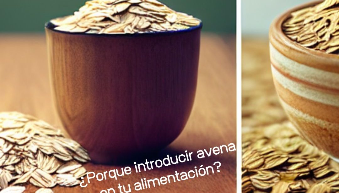 ¿Porque introducir avena en tu alimentación?