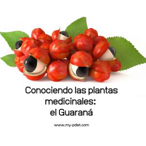 Conociendo las plantas medicinales: el Guaraná, nutricionista, nutricionista clínica