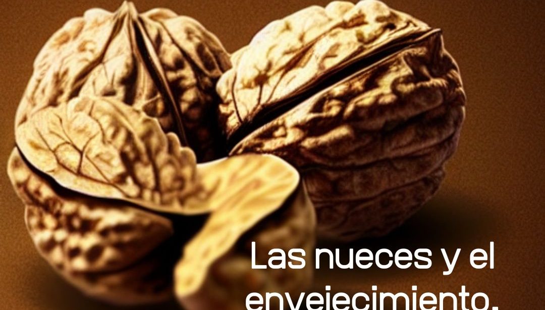 Las nueces y el envejecimiento, nutricionista, nutricionista clínica