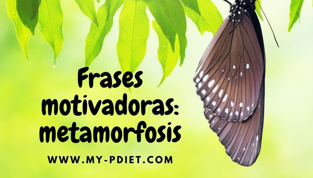 Frases motivadoras: metamorfosis🦋, nutricionista, nutricionista, nutricionista holítica