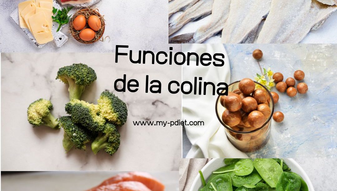 Funciones de la colina, nutricionista, nutricionista clínica