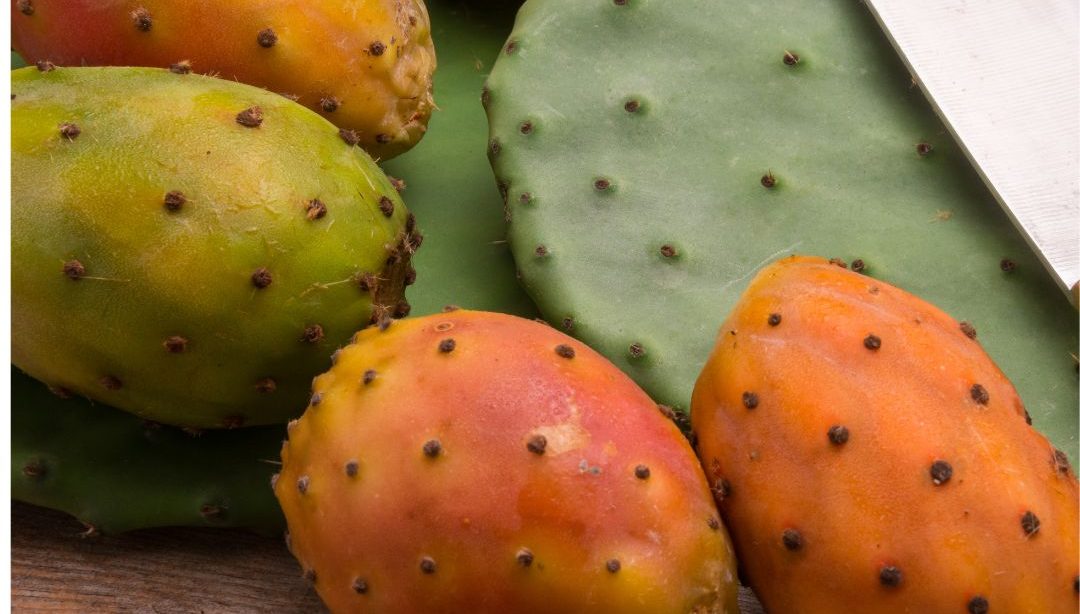 Beneficios del Nopal (Higo Chumbo) en tu Alimentación, nutricionista, alimentación consciente