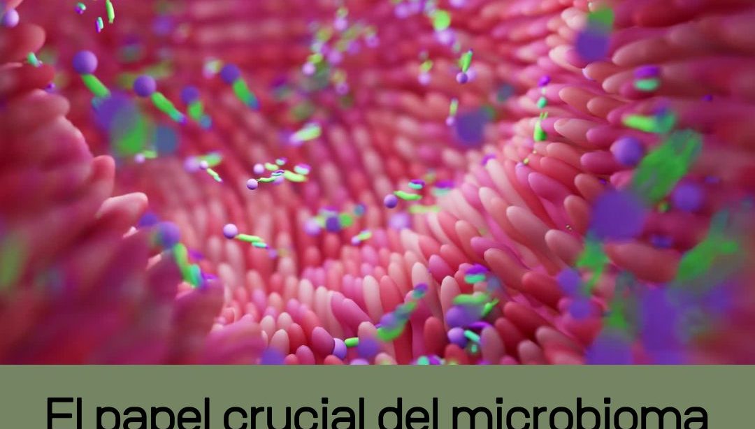 El papel crucial del microbioma intestinal en la nutrición, nutricionista clínica, alimentación consciente