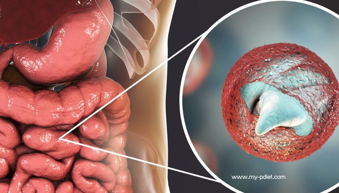 Criptosporidiosis: Lo Que Debes Saber Sobre Esta Infección y Cómo Protegerte, seguridad alimentaria, nutricionista