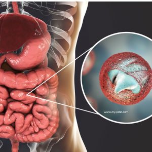 Criptosporidiosis: Lo Que Debes Saber Sobre Esta Infección y Cómo Protegerte, seguridad alimentaria, nutricionista